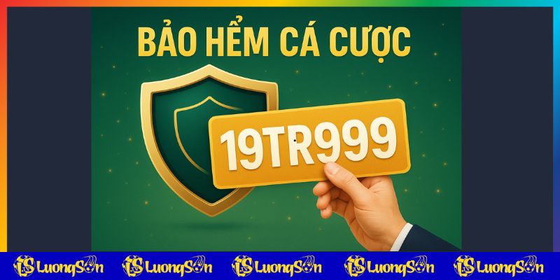 Tổng quan bảo hiểm cược OK9 luongson tv