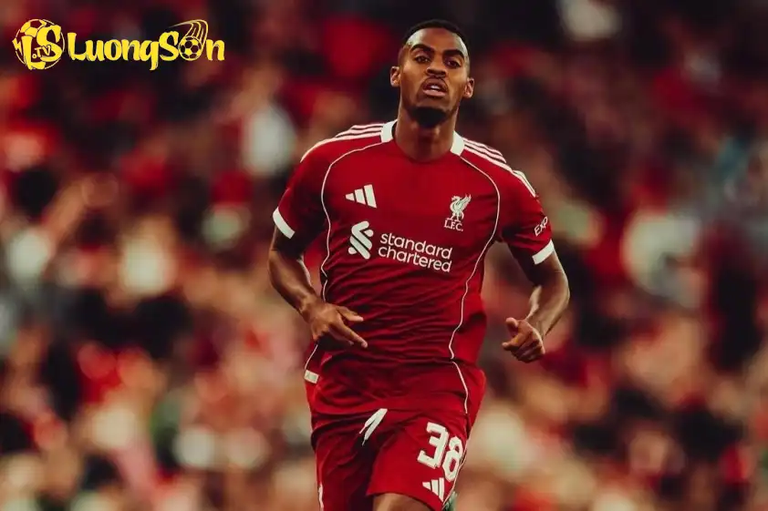 Các CĐV Liverpool Các CĐV Liverpool