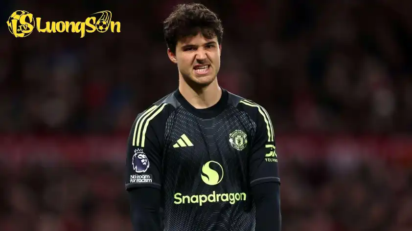 Bản thân thủ thành trẻ người Bỉ cũng rất khiêm tốn trước những lời khen